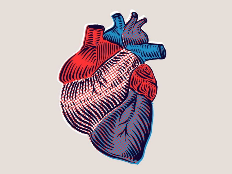 heart-coronary