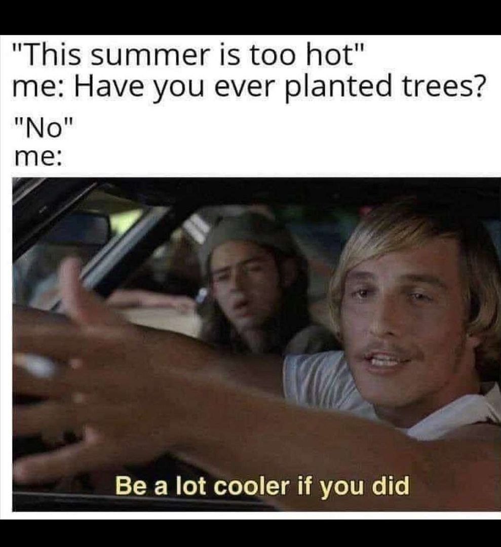 Have you planted trees?