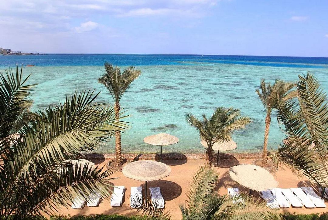 Sea, palm trees, Maldives