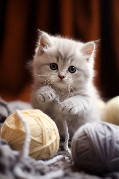 adorable-looking-kitten-with-yarn_23-2150886290