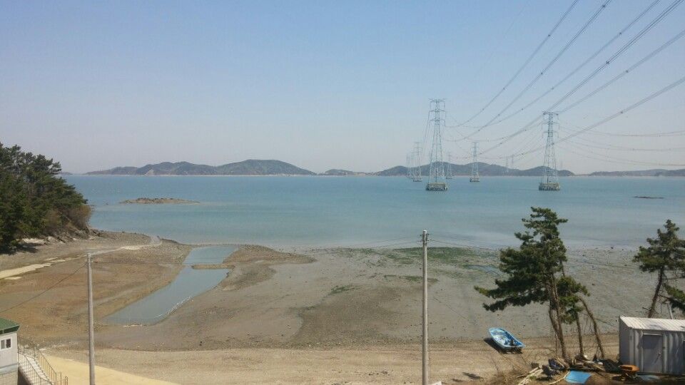 mudflats in korea