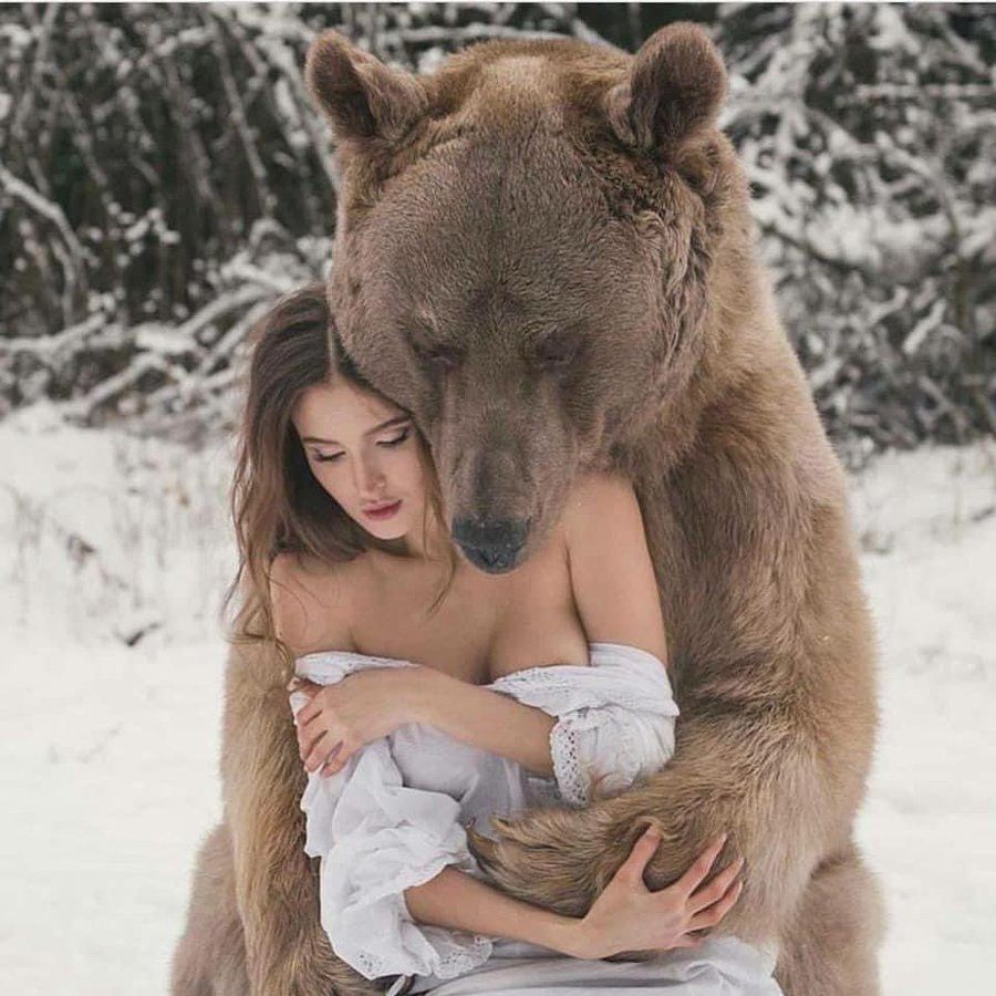 bear