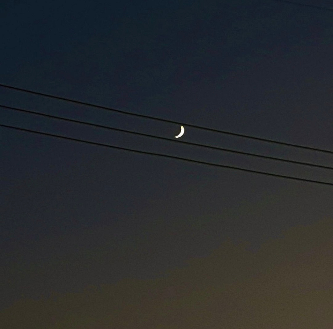 The Moon in the music