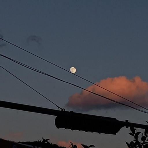 Hanging Moon