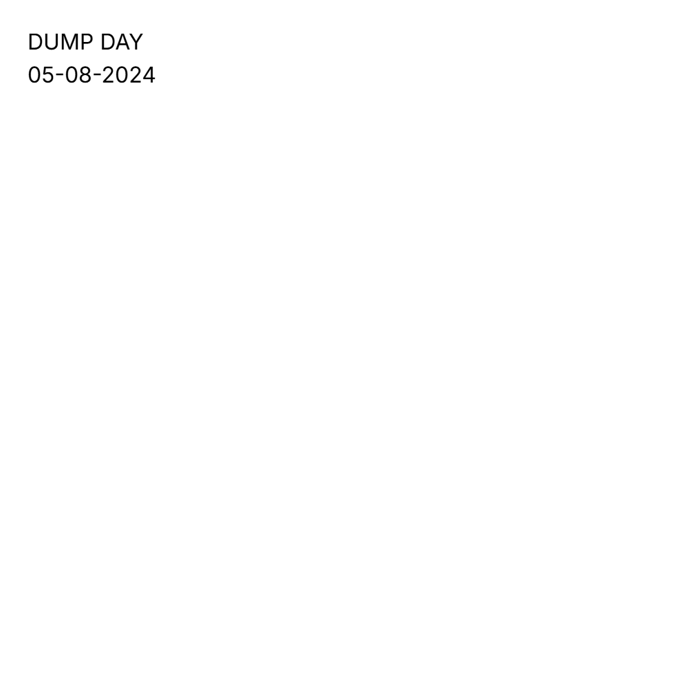 DUMP DAY