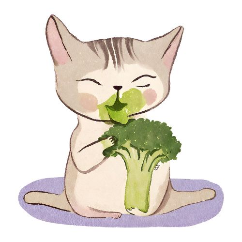 Broccoli Cat Betty