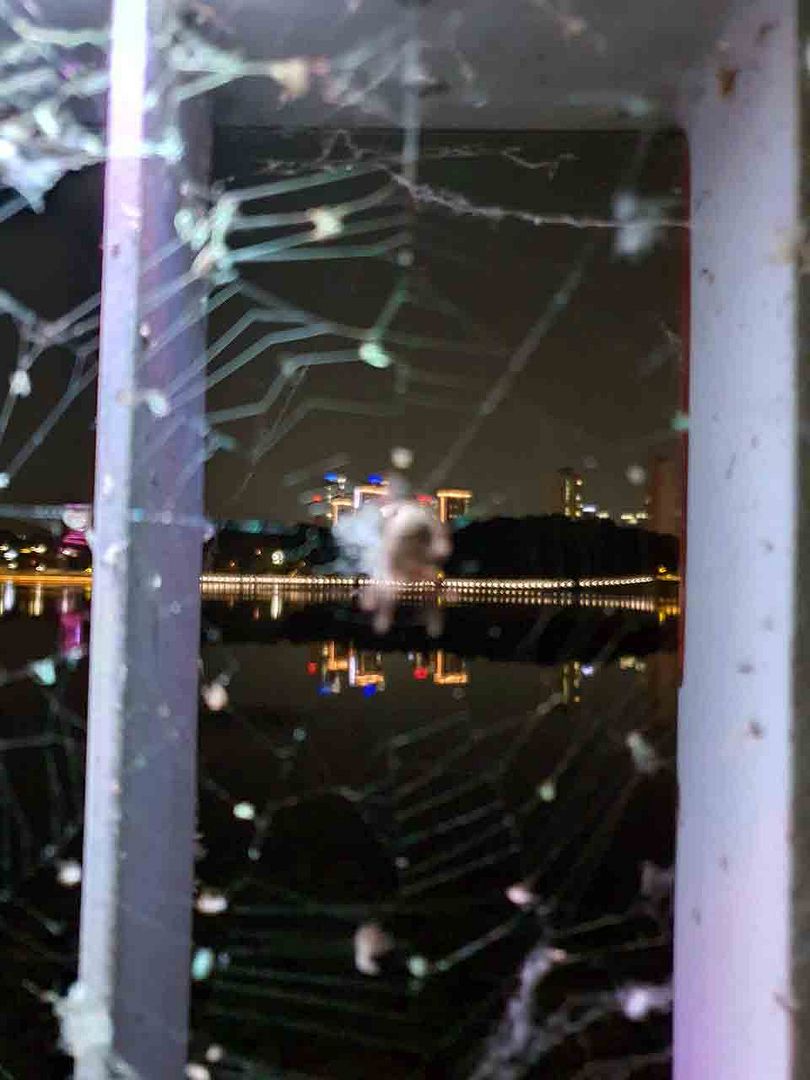 spider eating the night view