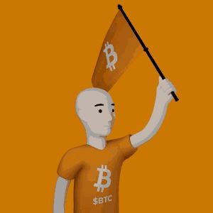 bitcoin flag open edition