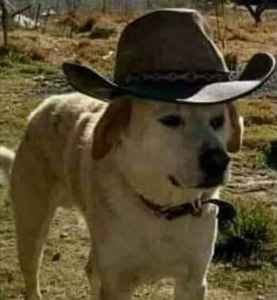 good cowboy