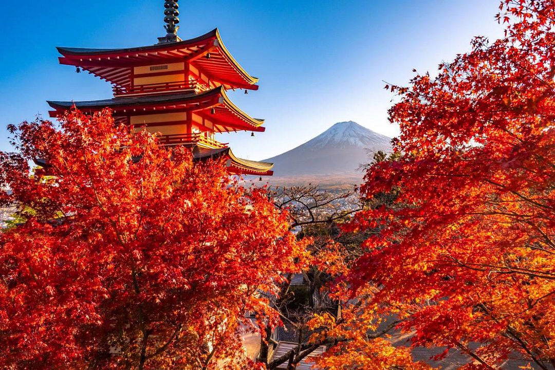 Golden view of Fuji