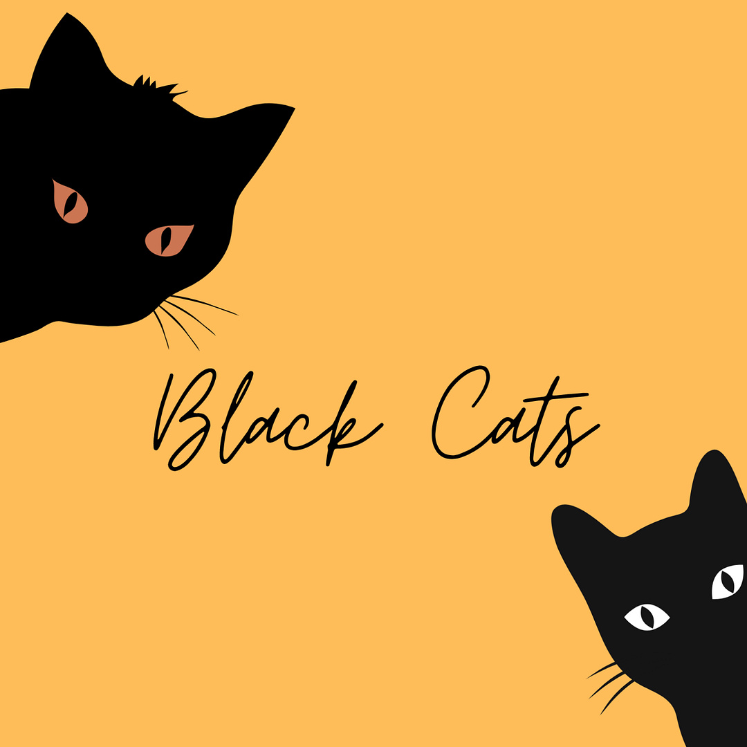 Black cats