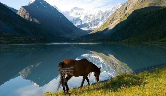 Altai mountains