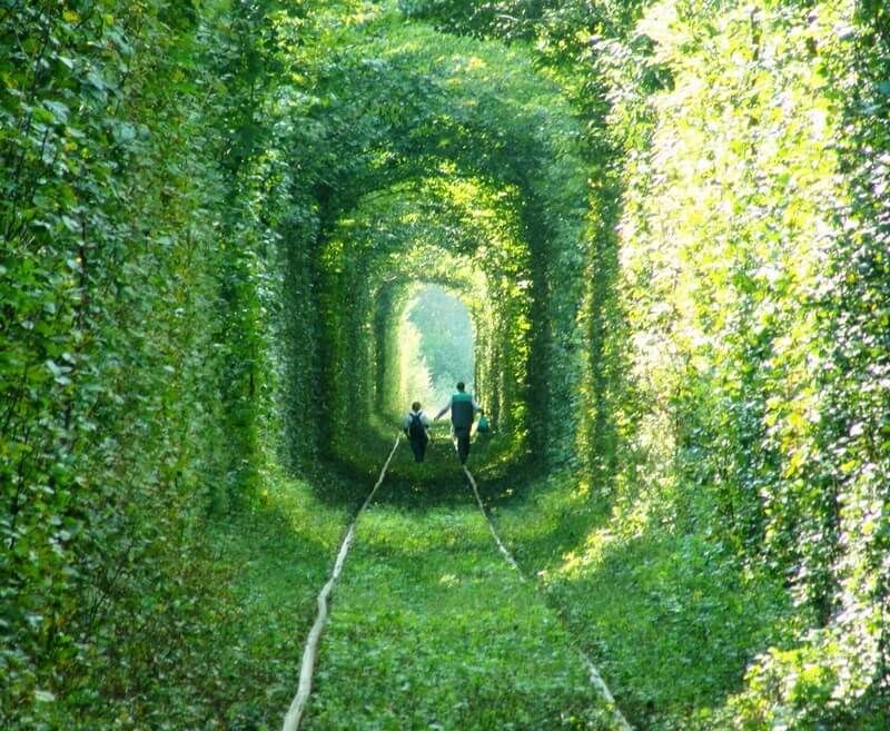 Tunnel of Love