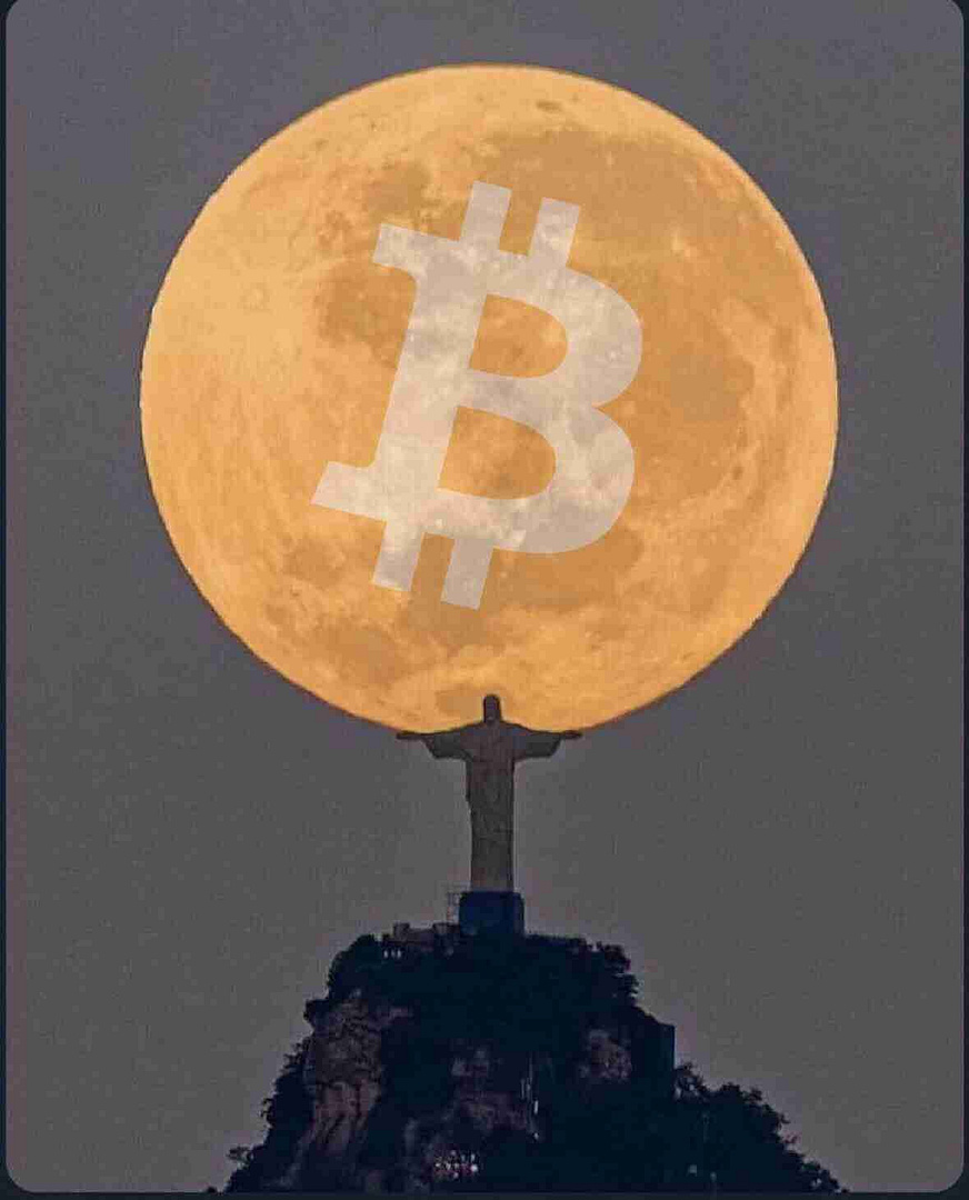 btc to moon