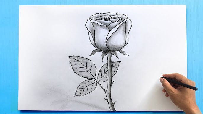 my drawing