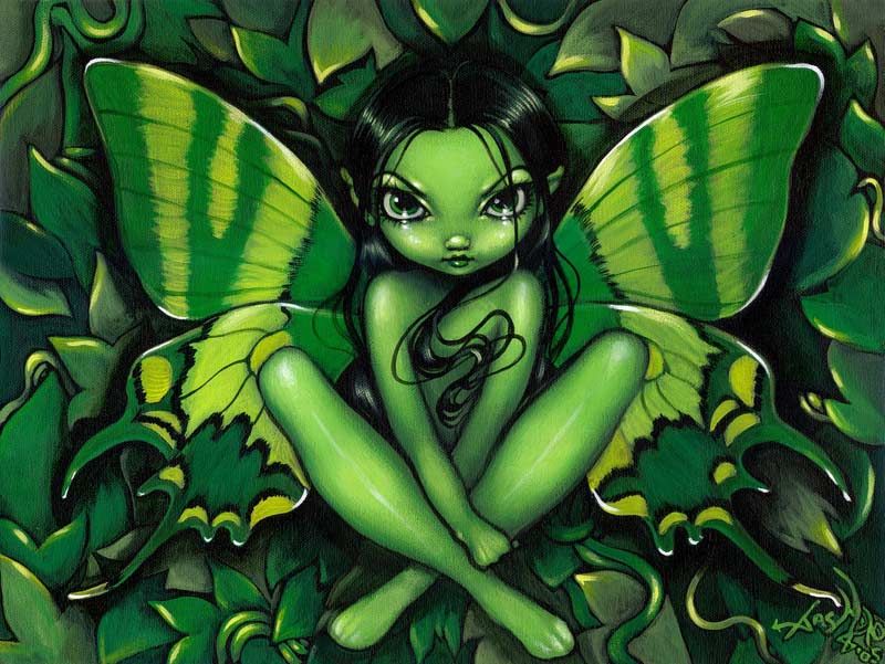 JasmineBecket-Griffith_GreenButterflyFantasy_WebOpt