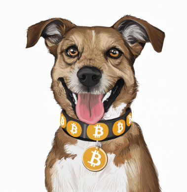 BTC DOG#1