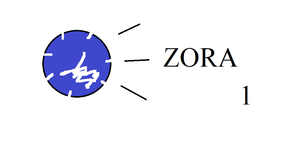 ZORA