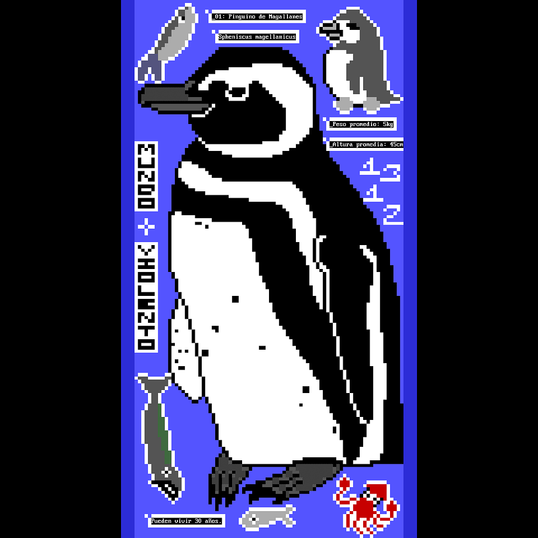 Pingüino de Magallanes