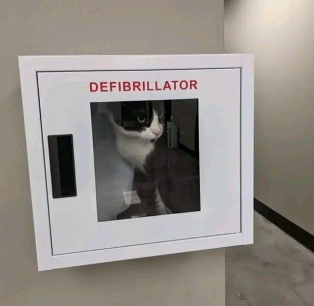 DEFIBRILLATOR