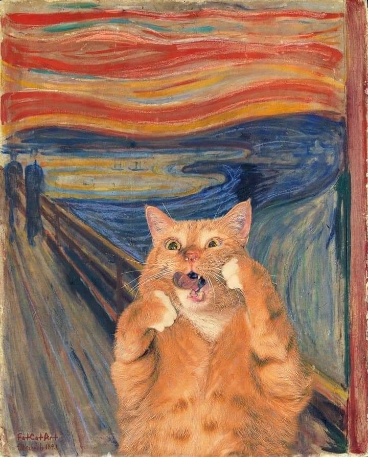 The Scream of Meow