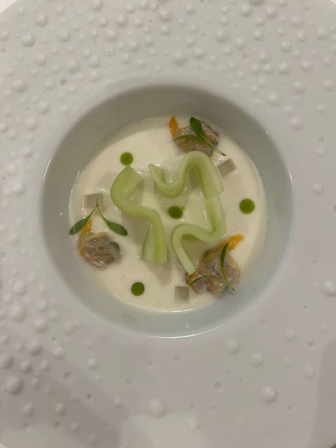 Cucumber soup