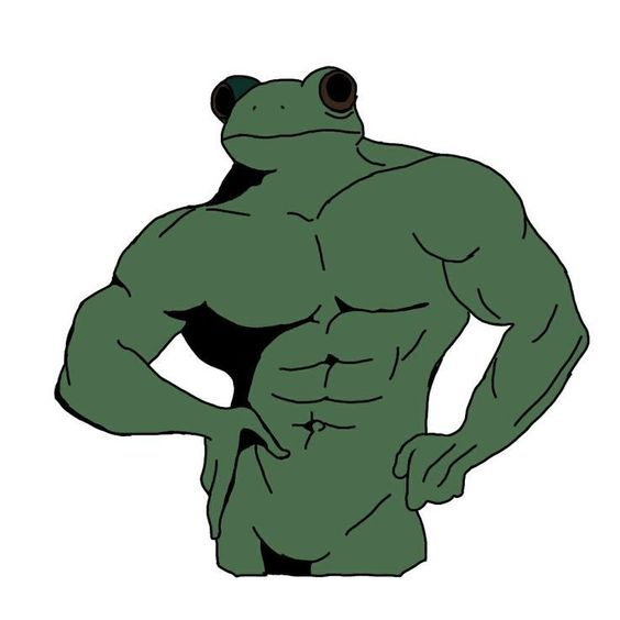 Muscular frog