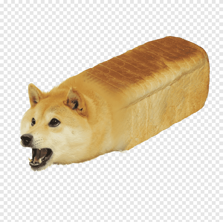 dog bread