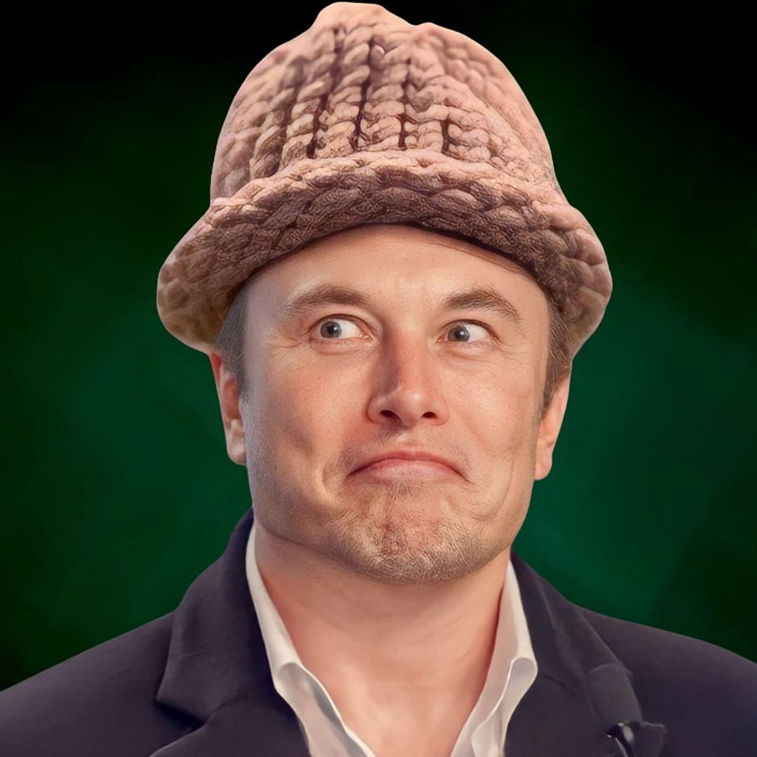 Elon Wif Hat