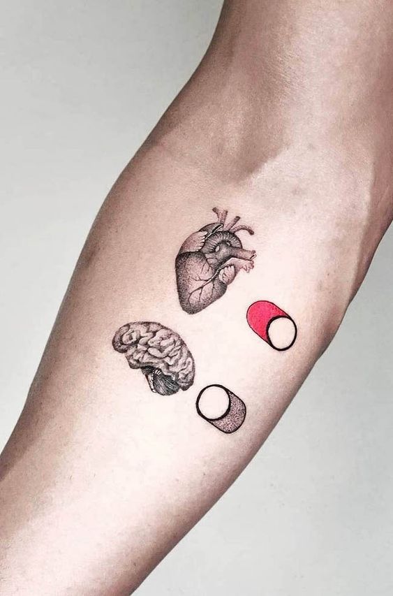 heart vs brain