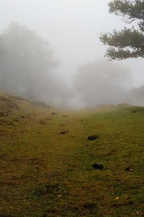 Plant Mpegs Ecuador