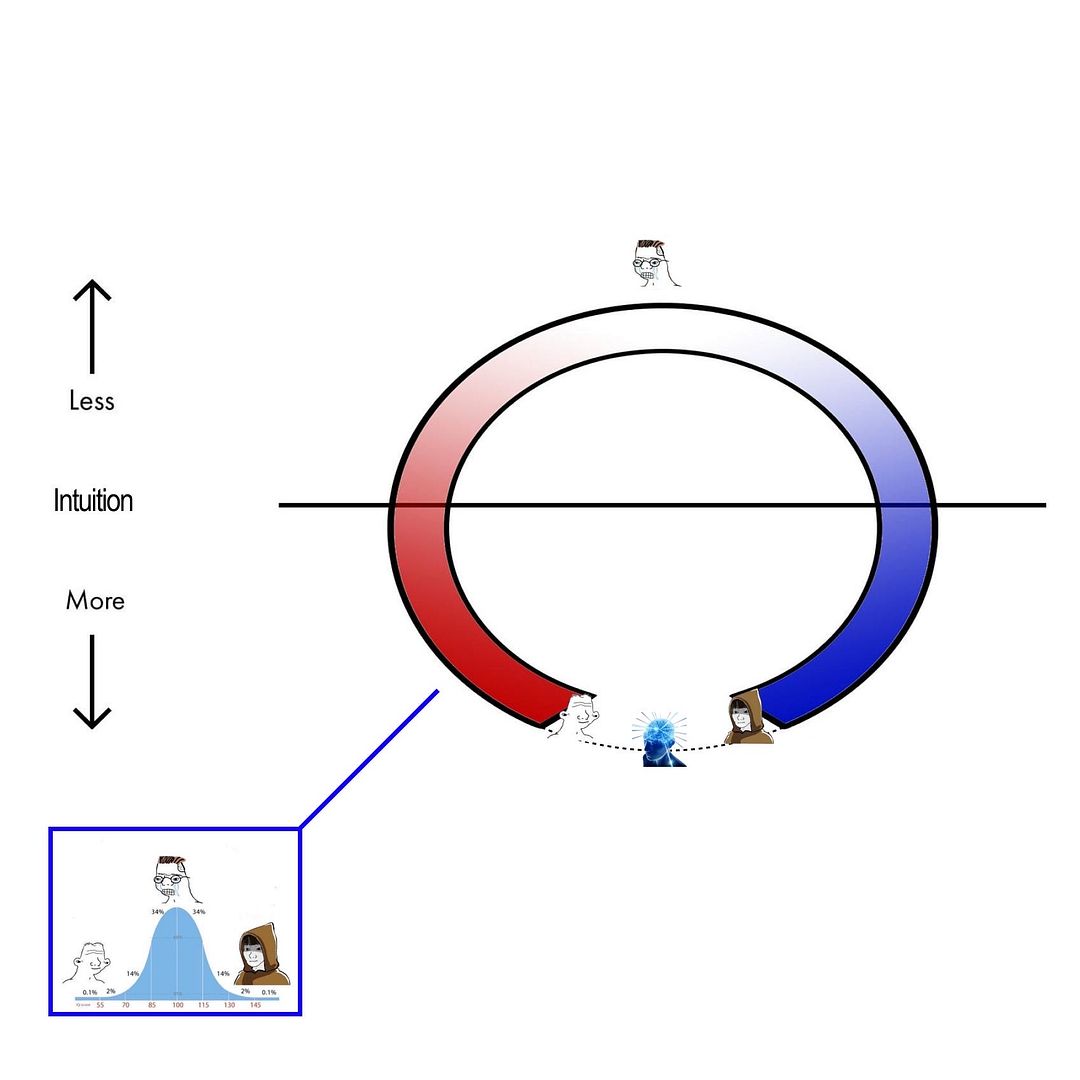 midwit horseshoe theory