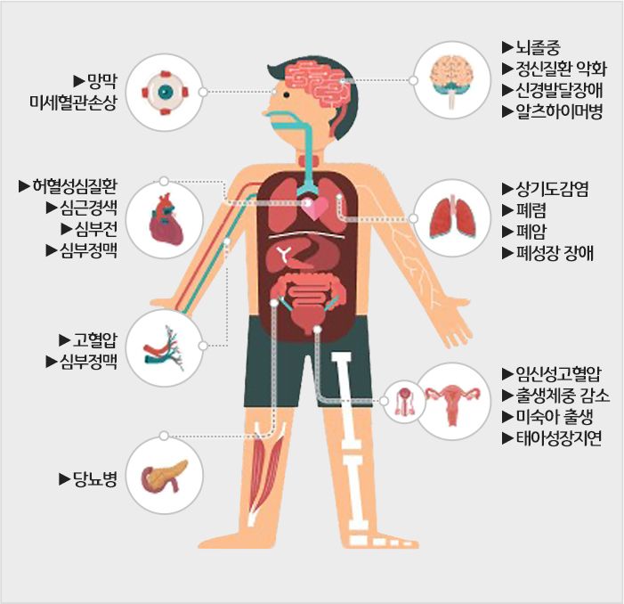 particulate matter