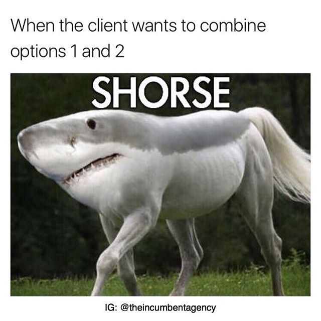 SHORSE