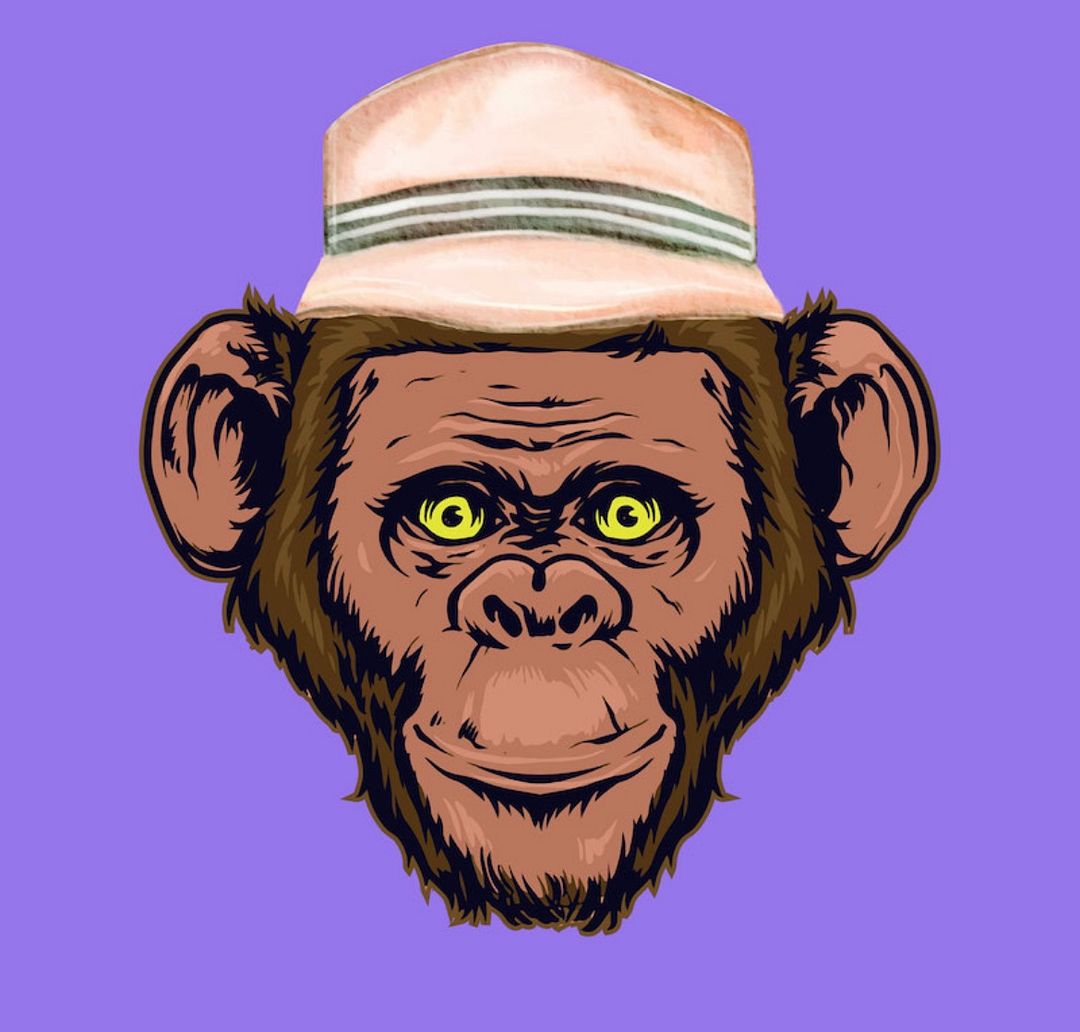 wise monkey