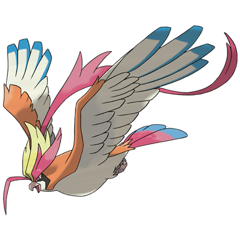 mega pidgeot