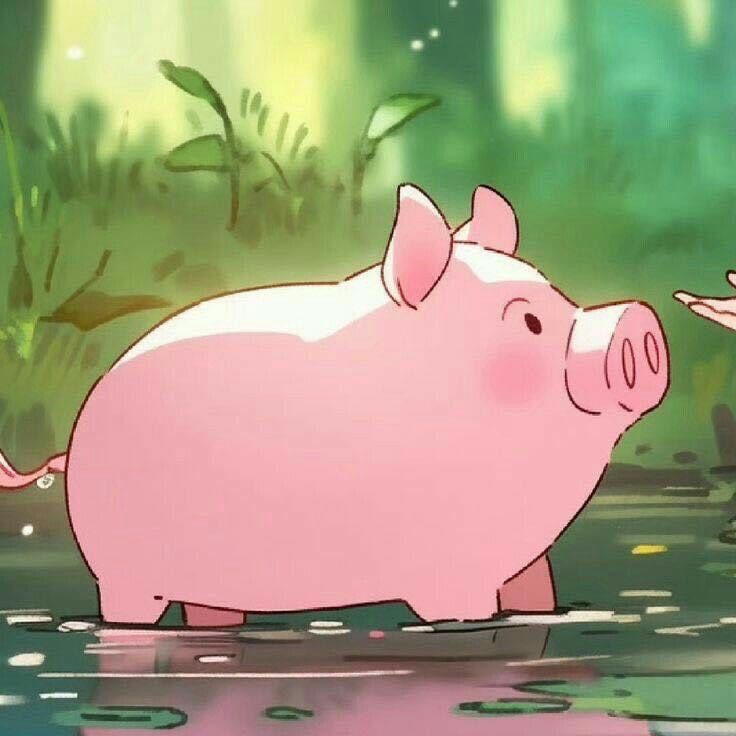 Pig Cute