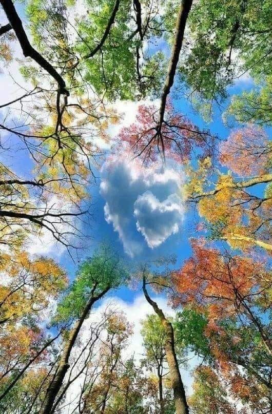 HEART CLOUD!!