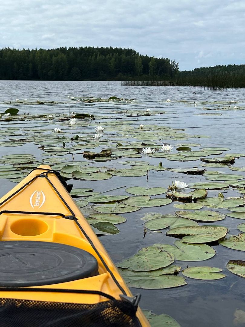 on the lake