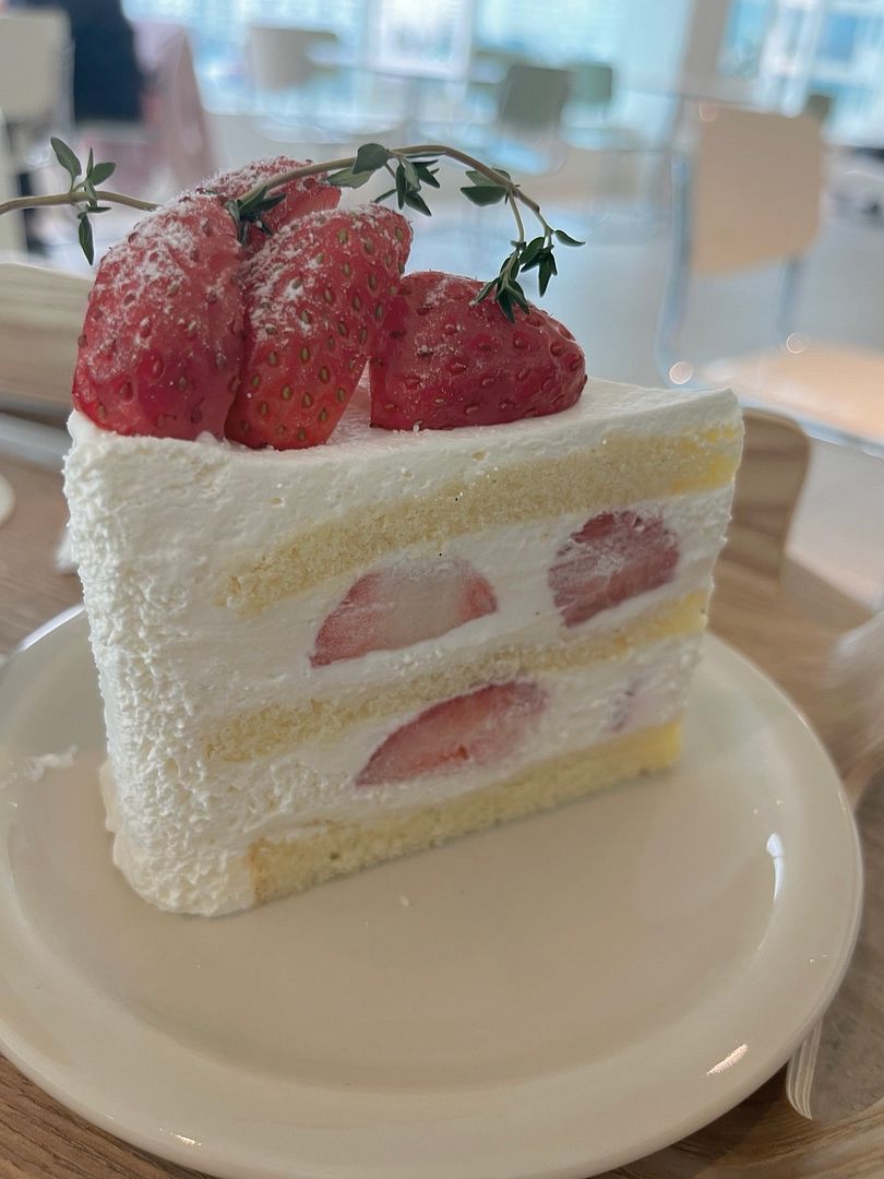 Fruit Whipping Cream Cake