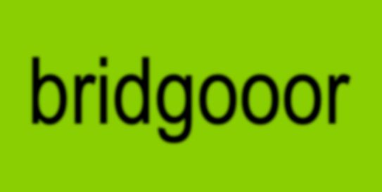 bridgooor