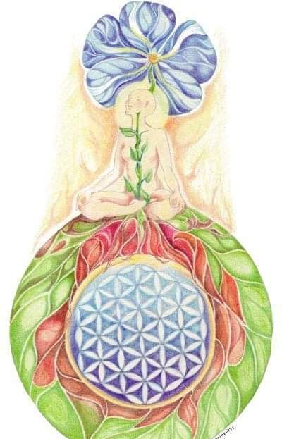 flower of life.