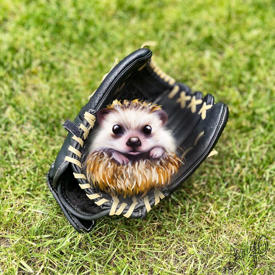 baseball_glove_hedgehog