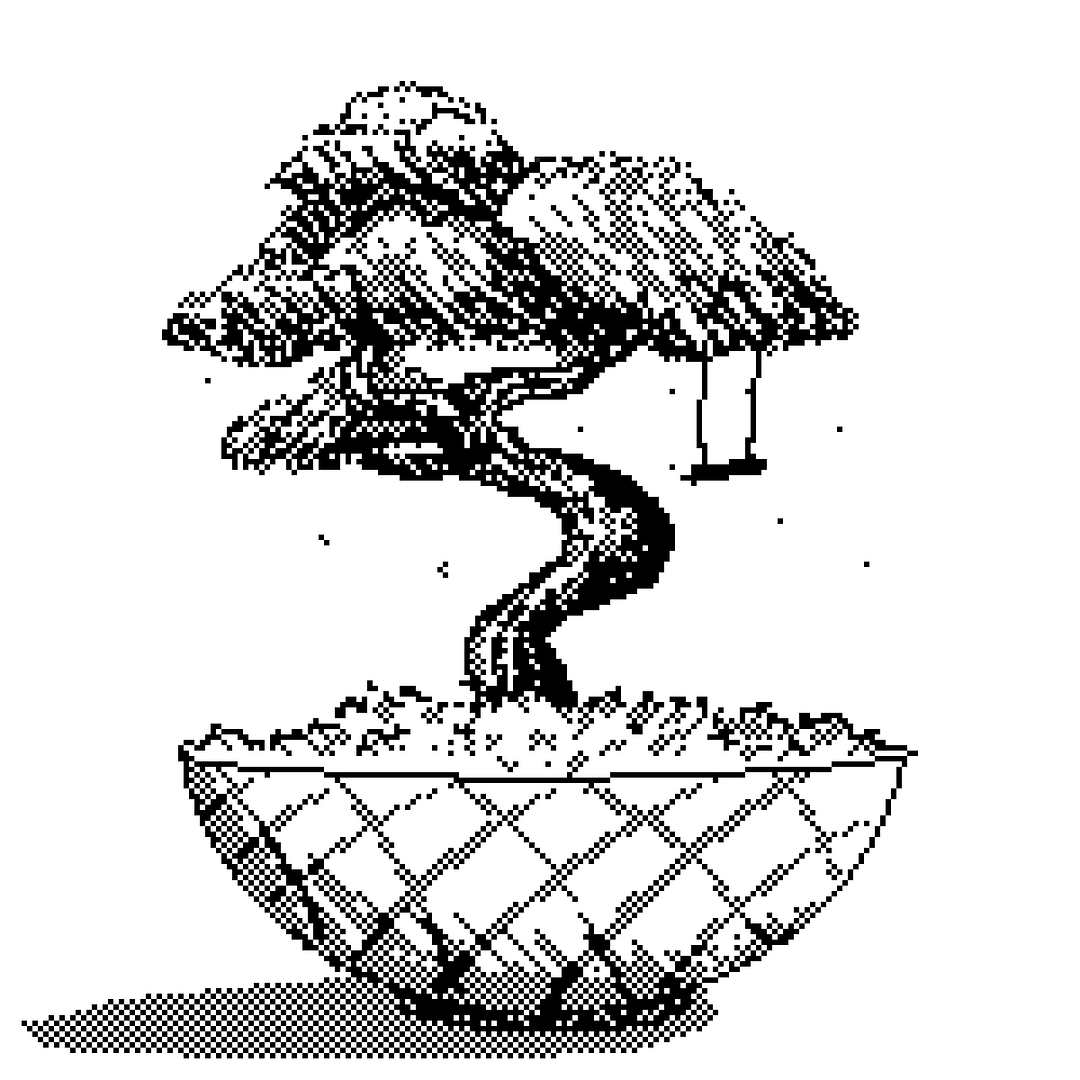 mr.bonsai