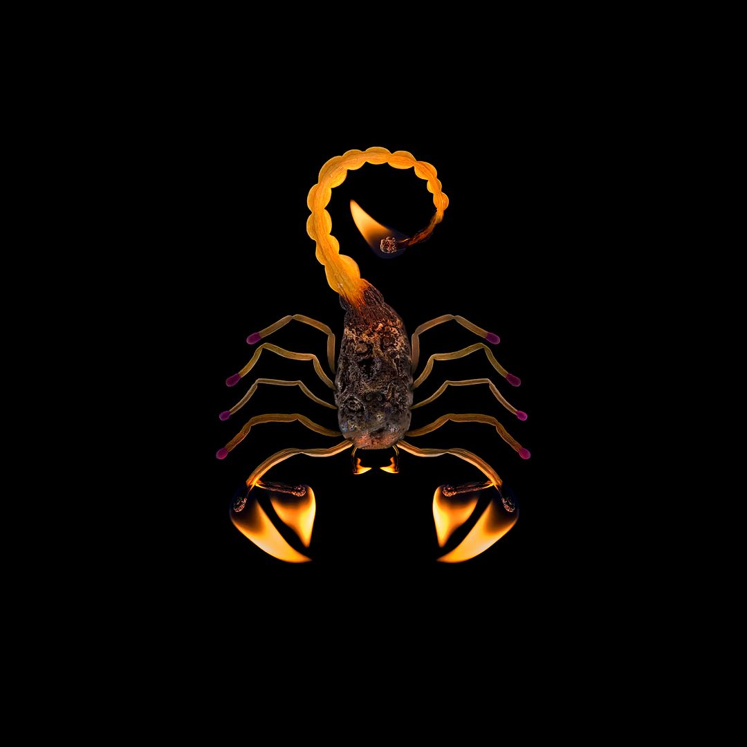 Scorpion 1 $imagine