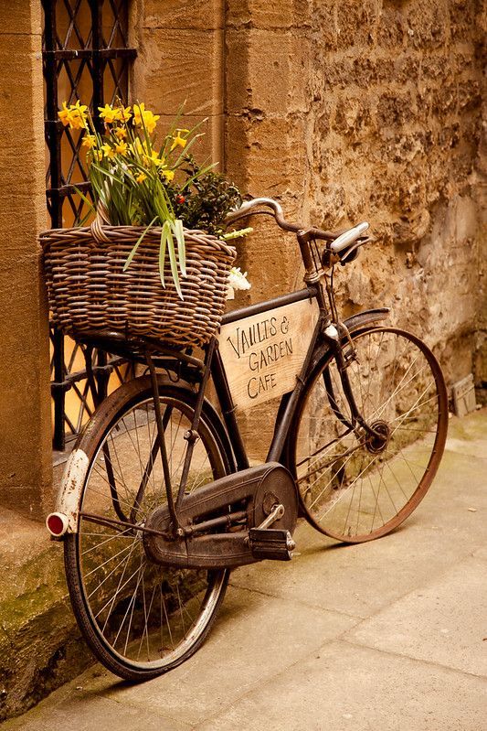 Spring bicycle