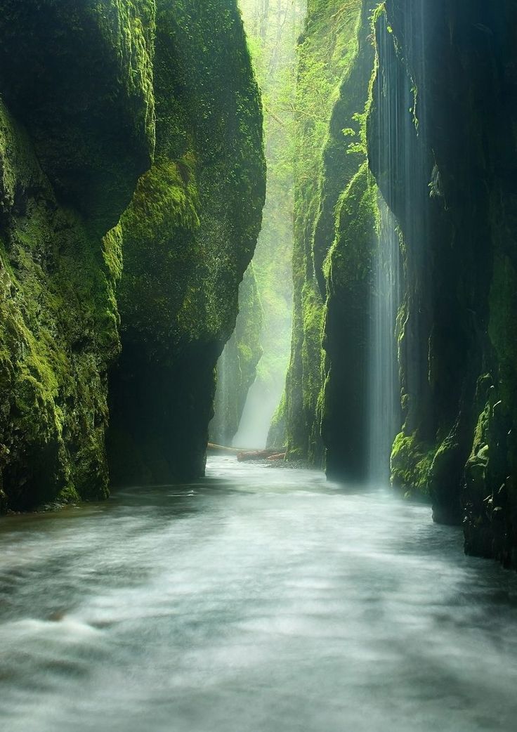 Rainforest Canyon Oneonta Gorge Oregon, River, MARC ADAMUS · Art photographs · YellowKorner