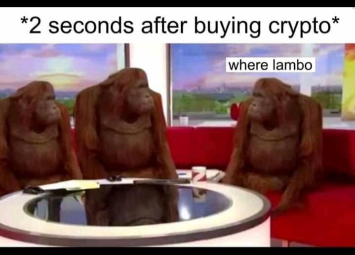 Where Lambo