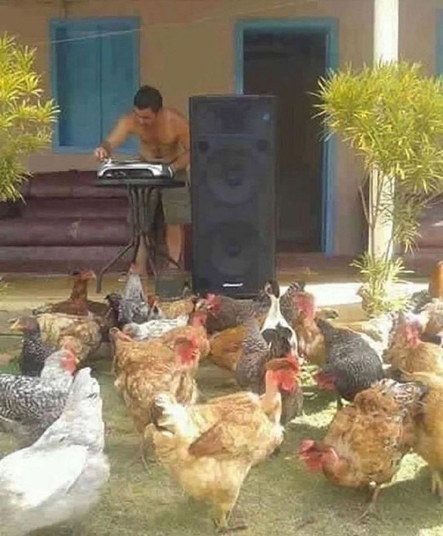 dj chiken