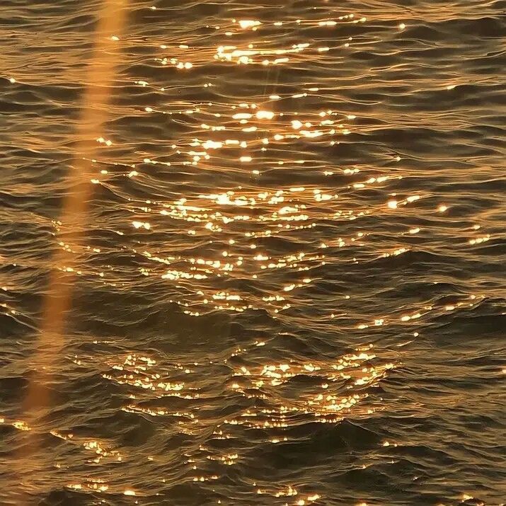 Sun kissed ocean